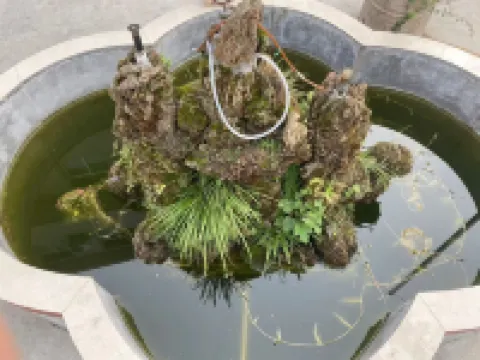 Junyao Hotel Baokang
