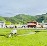 Gangjian Nuolin Homestay - acceptant les animaux