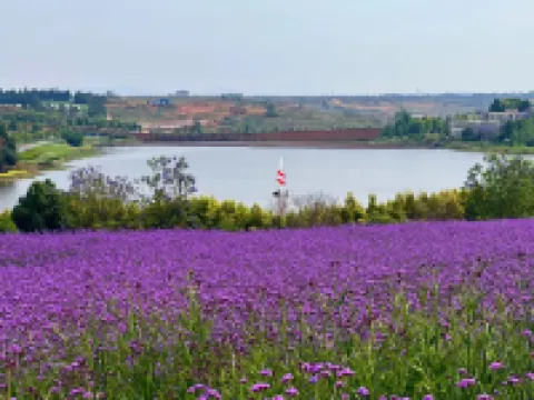 Mile Wancheng Hotel (Putuoguan Avenue)