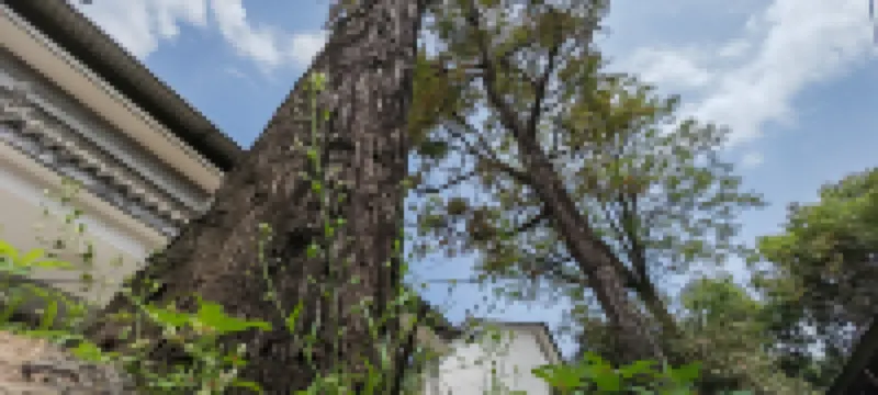 麥積山石窟遠方的家