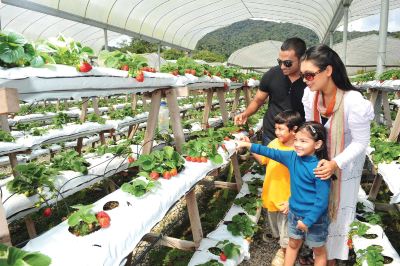 その他 グランド イオン デリーマン ホテルの写真