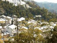 莫干山翠微山居 - 酒店附近