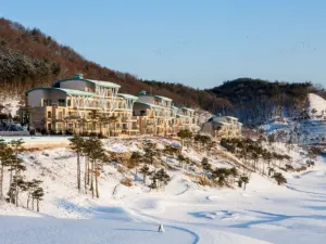 소노펫 클럽&리조트 비발디파크
