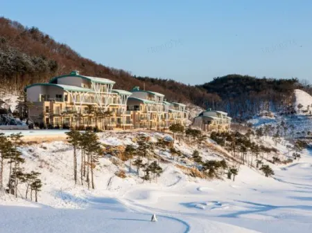 소노펫 클럽&리조트 비발디파크