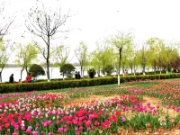 Tang Tong Hotel (Xinye Branch) Hotels in Xinye