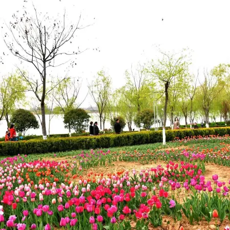 Tang Tong Hotel (Xinye Branch)