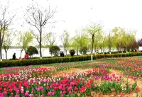 Tang Tong Hotel (Xinye Branch)