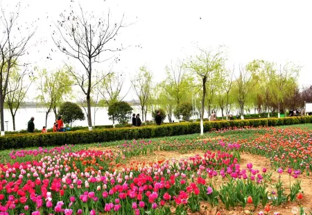 Tang Tong Hotel (Xinye Branch) Отели в г. Синьэ