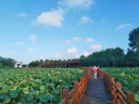 Dianshan Lake Liuxia Shiguang Homestay（Cai Bang Cun Store ） Hotels near Plum Garden of Grand View Garden