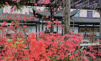 Zhuji Wanghuishan Hotel