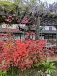 Zhuji Wanghuishan Hotel Hotels in East White Lake Town