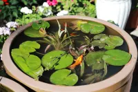 Xinyuan Dandan Shanshui Homestay