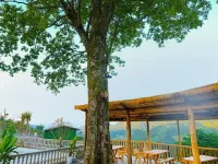 Jing Cao Mountain Residence Homestay Hotels near Jinfuo Mountain
