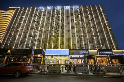 Sangel Hotel (Zhengzhou East Longhai Road Metro Station) Hotel in zona Longhai Station Waiting Hall