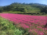 临潭花芦民宿