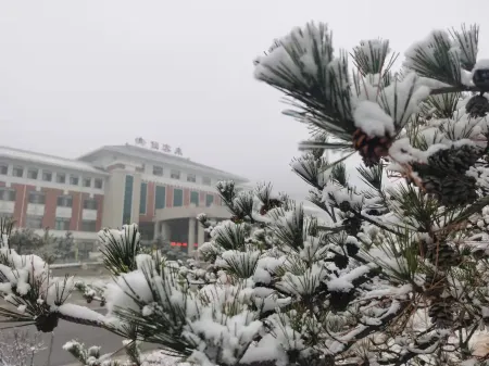 Xiankelai International Hotel Отели рядом с достопримечательностью «Weifang Institute of Technology»