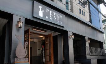 5. 피터캣호텔 홍대..