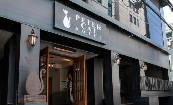 Petercat Hotel Shinchon