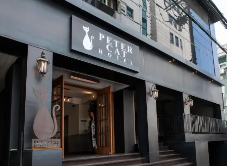 โรงแรมปีเตอร์แคท ชินชน ฮงแด