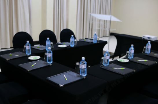 Meeting Rooms Pavilion Hotel Durban Photo