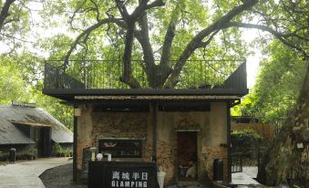 Half Day Away City Ancient Tree Mine Camping Hotel