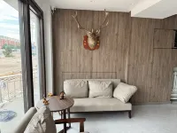 Sitting in the Forest Luxury Homestay