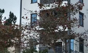 Yijun Homestay
