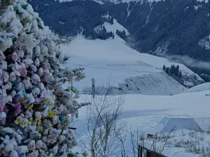 瓊庫什台春山頌月民宿