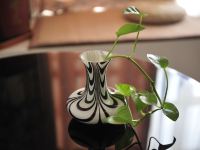 洛阳利群公寓 - 其他