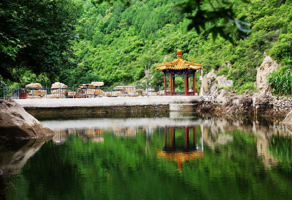 유유 링시 노야