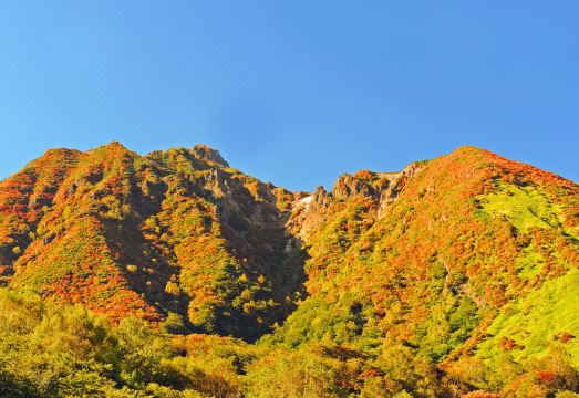 유-후리 나스-타카오 온센 로지 내부