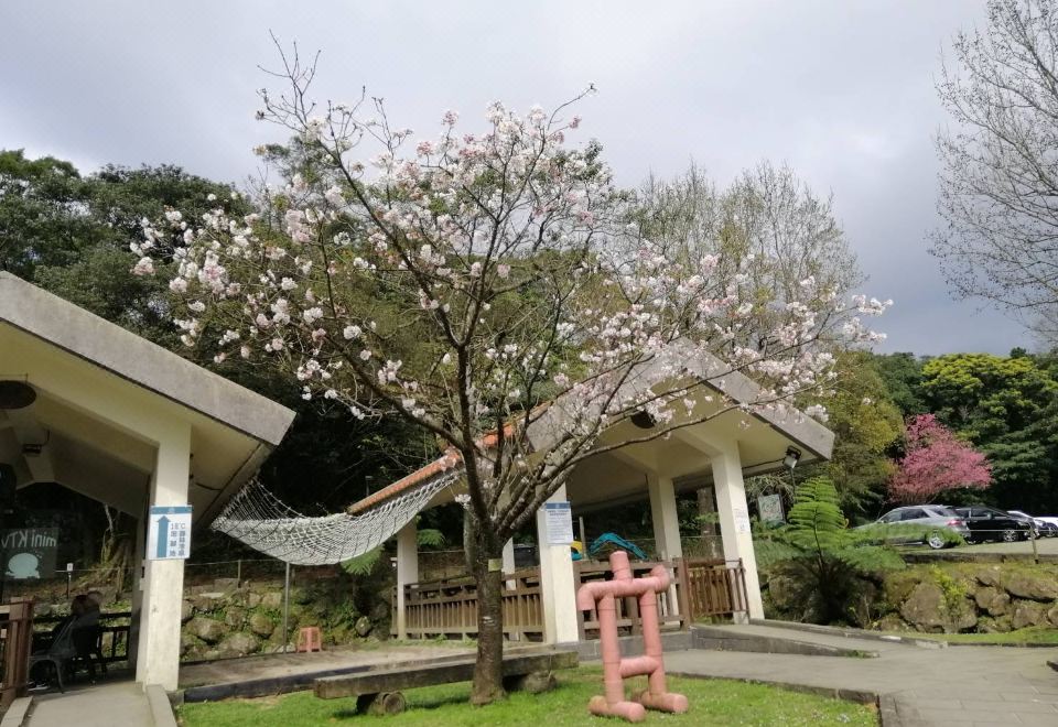 얀민 핫 스프링 리조트