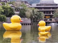 Wuzhi Shanshuiyun Residence Hotel Hotels in Wuzhishan