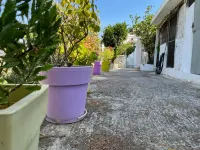 Nionas Cheerful House