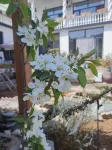 Jingmo Shanfang Homestay