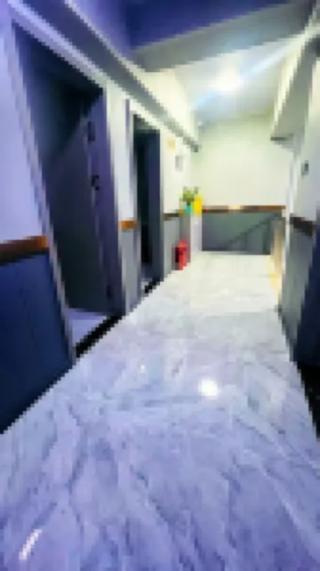 Mohe Hongsheng Hotel