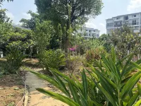 Wutong Shiyuan Homestay