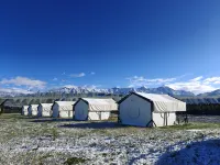 Pinecone    Camp