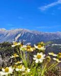 Xuelu Youju Homestay