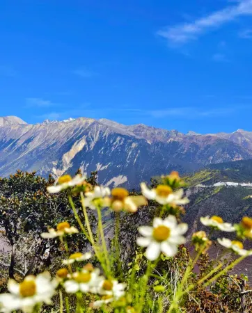 Xuelu Youju Homestay Отели рядом с достопримечательностью «Wunongding Viewing Platform»