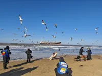 HorizonHaven • Azure Aroma