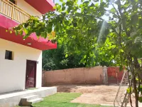Linzhou Homestay - pemandangan pegunungan