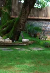 Yuhe Academy · Lijiang Cultural Heritage · 1710 Chinese Garden-style Heritage Architecture - 온천