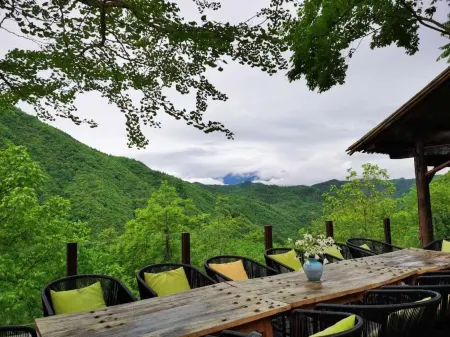 Pingwu Huajian Banshan Homestay Отели рядом с достопримечательностью «Plum Garden, Plum Forest, Pingtong Town»