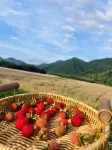 Tonglu Qimu Qiushan Homestay (OMG Heartbeat Park) - 마운틴 뷰