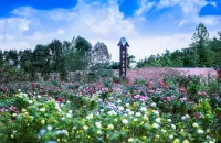 Henglang Mountain Rose Valley Guesthouse