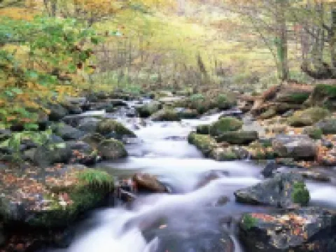 Homeinn Hotel (Dingxi Jiefang Road Wenxiang Jiayuan) Hoteles en Dingxi