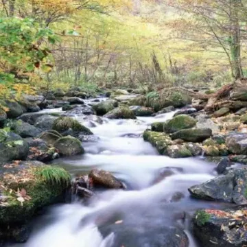 Homeinn Hotel (Dingxi Jiefang Road Wenxiang Jiayuan)