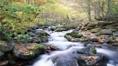 Homeinn Hotel (Dingxi Jiefang Road Wenxiang Jiayuan)