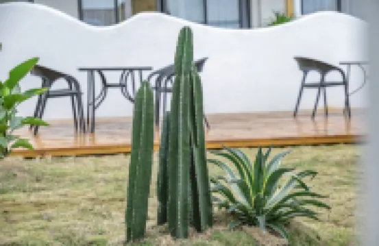 xilinxiaoyuan Guesthouse Hoteles cerca de ZhongShan Lu BuXingJie